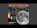 What Will I Do With The Moon