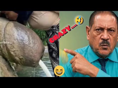 "So Funny You’ll Forget What You Were Doing!" 😂 Part 22▶️