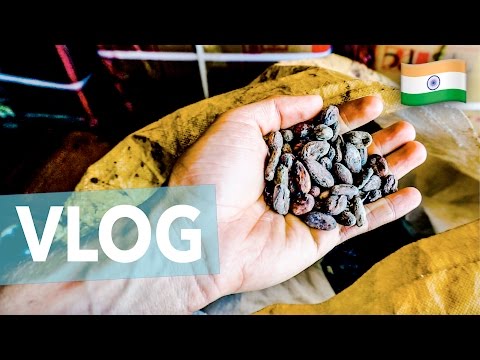 PHILLIP AND THE CHOCOLATE FACTORY