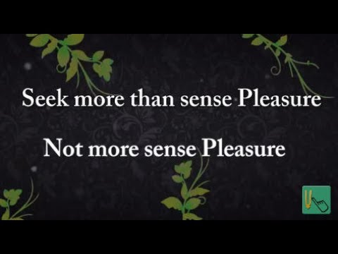 Seek more than sense pleasure, not more sense pleasure Gita 05.21