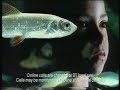 Barclay S Bank Advert 10th July 1999 UK Television Commercial Promoting Free Internet Access