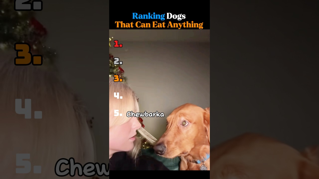 Ranking Dogs That Can Eat Anything