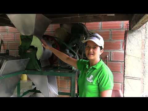 FINCA CAFETERA SAN BENITO  CAÑASGORDAS ANTIOQUIA