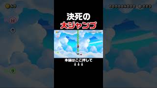 行き場がなくなって命がけの大ジャンプをした結果w【マリオメーカー2/マリメ2】