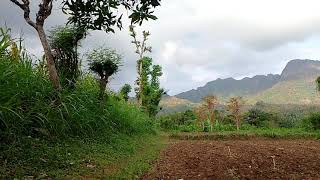 Download lagu Kumpulan Lagu Rhoma Irama Full Album Tanpa Iklan mp3 Download lagu Kumpulan Lagu Rhoma Irama Full Album Tanpa Iklan mp3