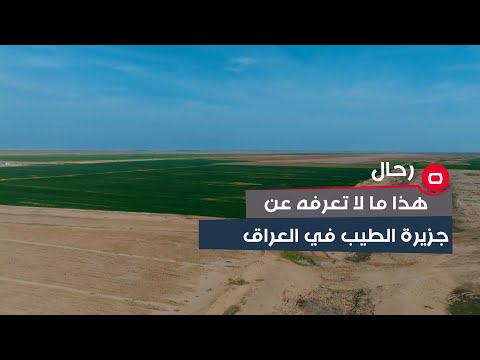 شاهد بالفيديو.. الجنة المنسية.. هذا ما لا تعرفه عن جزيرة الطيب في العراق