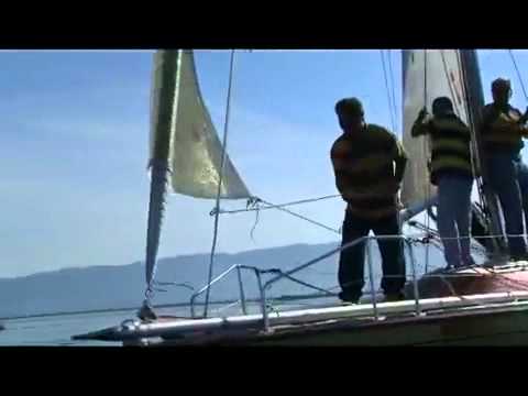 Segelregatta am Bodensee