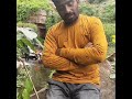 Vadilesthava Nannu