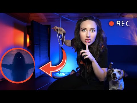 ЛОВУШКА для СЕРБСКОЙ ЛЕДИ - Ставим Скрытые Камеры на Чердаке | Элли Ди Мистика