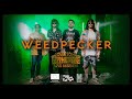 Weedpecker Soulstone Gathering Live Sessions