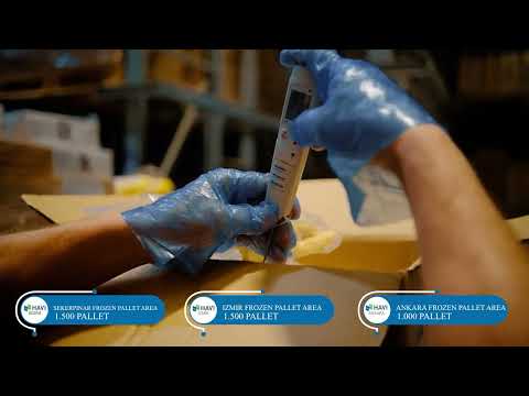 Havi Logistics Introduction Film - Presented by JASSİR