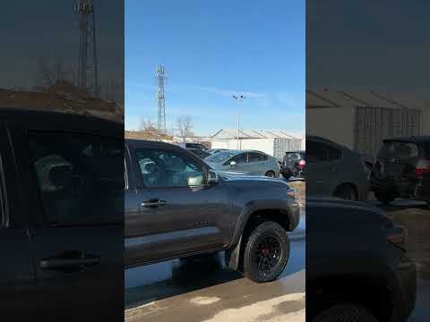 2023 Toyota Tacoma in Gray for sale at Forbes Waterloo Toyota in Waterloo, ON