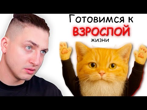 A WISE CAT TAUGHT ME ABOUT LIFE... (I sat down)