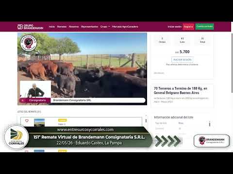 151º Remate Virtual de Brandemann Consignataria S.R.L - Eduardo Castex, La Pampa