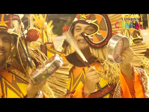 União Imperial colore a avenida contando a origem do batuque