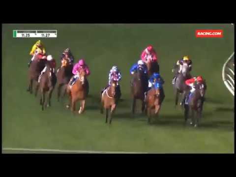 2016 MANIKATO STAKES - Rebel Dane