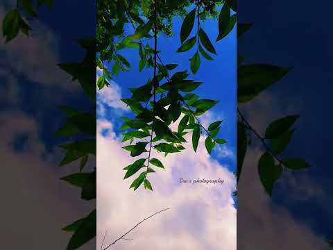 Nature with the sky💙💚 Music- valobasbo basbore - Habib Wahid