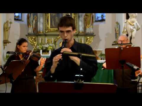 Antonio Vivaldi RV 312 - Matyas Houf, recorder