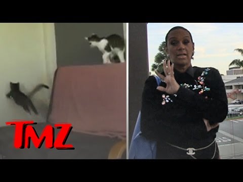 Jackie Christie: Cat's Suck Out Baby Souls | TMZ