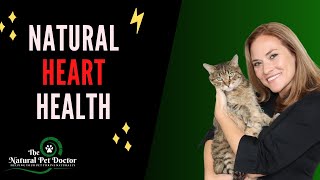 Dog & Cat Heart Disease: Top 3 Natural Treatments
