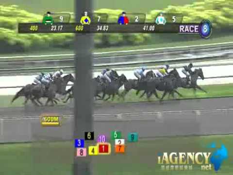 SINGAPORE RACE 15/12/2013 RACE 8 - iAgencyNet.com