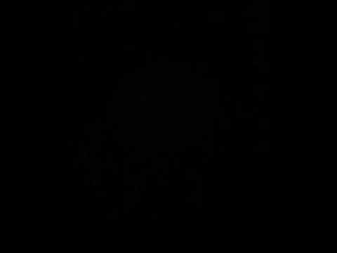 Free Video Contest Submission- Prada G