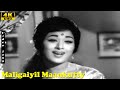 Maligaiyil Maankutty Song Jaishankar Vanisri M S V Athai Magal Tamil Classic Hits