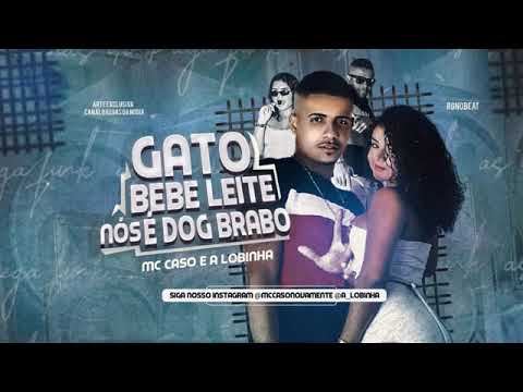 MC CASO E A LOBINHA GATO BEBE LEIT6E NOS DOG BRABO( BREGA FUNK )
