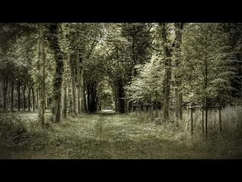 Aleksandar Sarievski i Sekstet Dusana Radetica - Sulejman sedit na kula