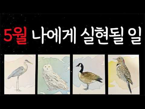 [타로]5월 당신에게 실현될 일들은 이렇습니다!