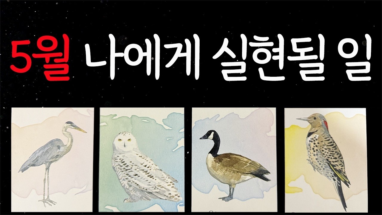 [타로]5월 당신에게 실현될 일들은 이렇습니다!