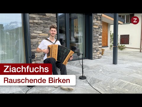 Rauschende Birken 😊🌳 - Steirische Harmonika