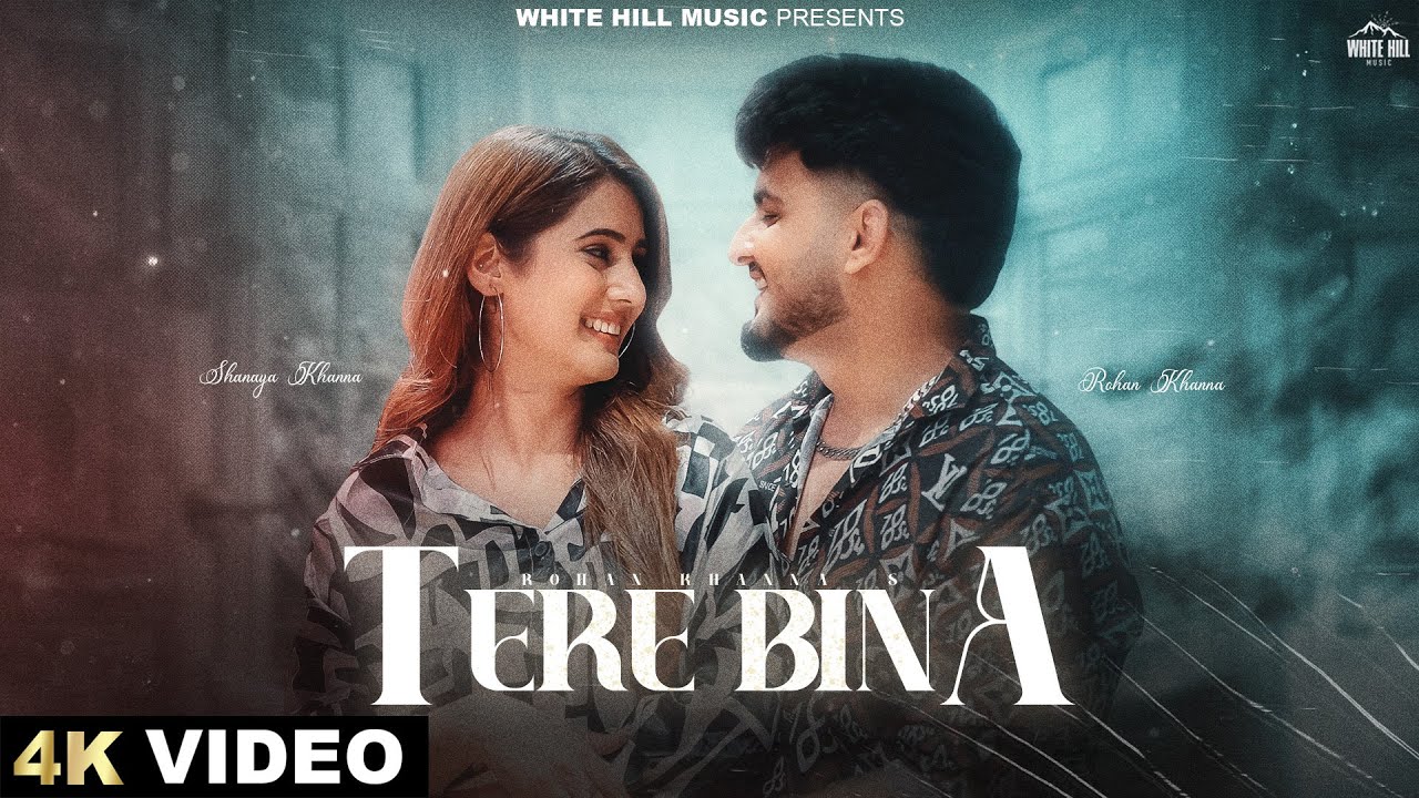 Tere Bina Lyrics | Rohan Khanna