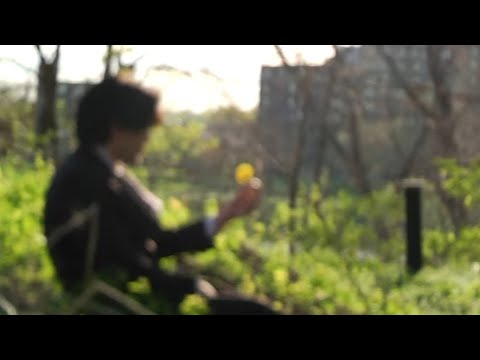 "La fleur" (cortometraje mudo) AHUNTSIC | 29°