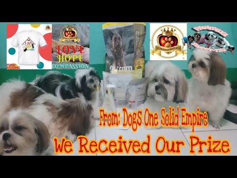 We Received Our Prize!  frm: Dogs One Solid Empire 🎉 #21Vlog