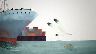 حفلة طيور البحر