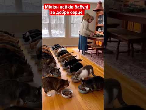 10 июня 2026 г.