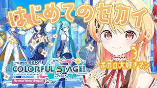 プロジェクトセカイ カラフルステージ！ feat. 初音ミク