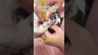 歯磨き頑張って！💦#shorts