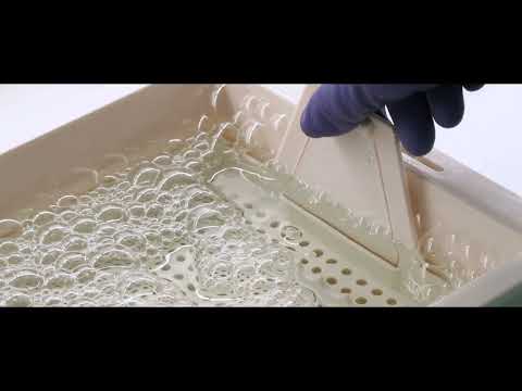 Abformdesinfektion (Deutsch)