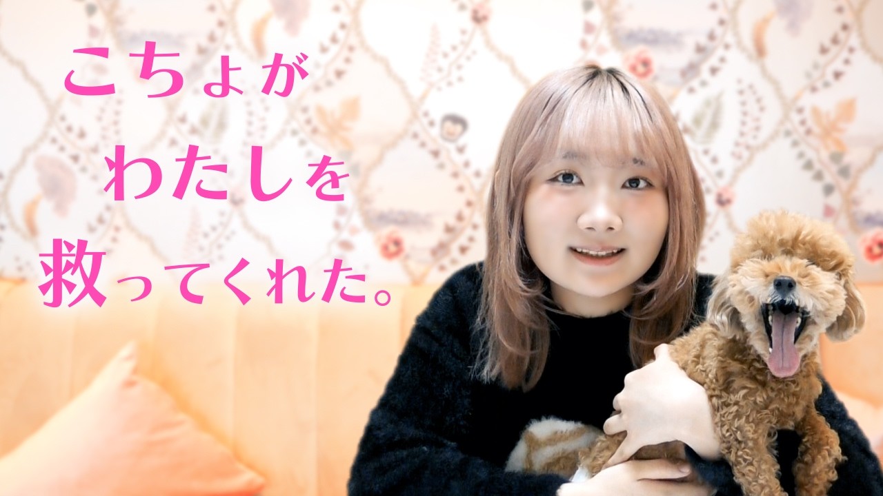 ◆私がこちょを飼い始めた理由をお話しします◆