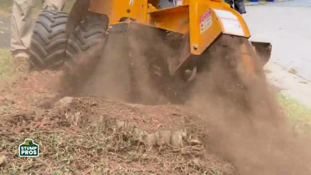 Shawnee, KS Stump Removal