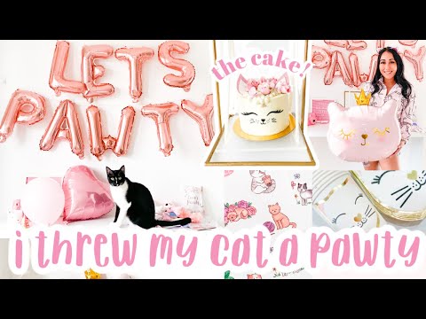 Throwing my Cat a BIRTHDAY PARTY - DIYS, Extra, Over the top, Party | Roxy James #catparty #cat