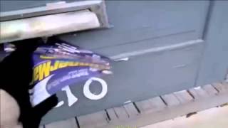 The Battle of Mailman vs Angry Cat While Attempting to Deliver Mail