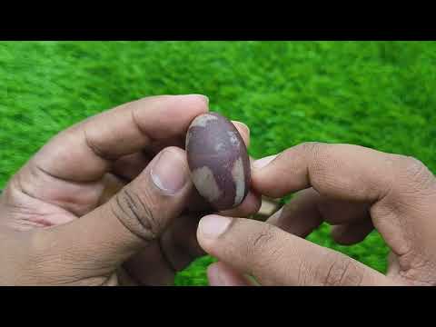 Omkar Natural Shiva Linga Abhisheka Lord Shiva Puja Set video