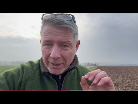 Need a crash course on political failure? It'll be coming soon from overseas anyway. Real-world e...