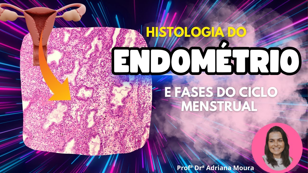 Útero: As Mudanças do Endométrio Uterino no Ciclo Menstrual