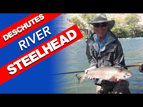 Deschutes river wild steelhead with spey rod on the fly