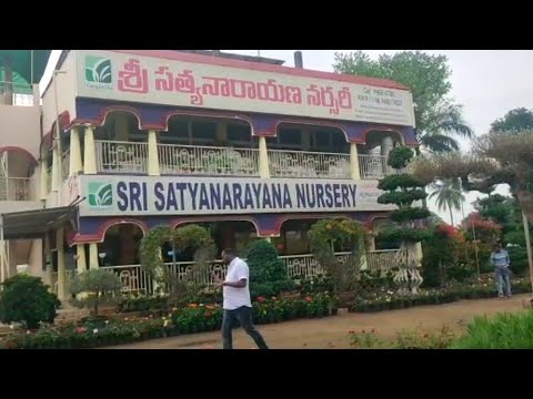 South Indian ki sab sa bari or sasti nersery|