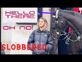 Hello There Horse